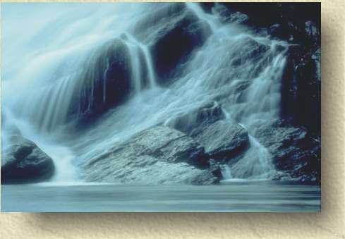 Water from a side stream flows into the Canning River.
