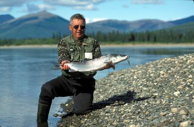 Sheefish from the Kobuk River.