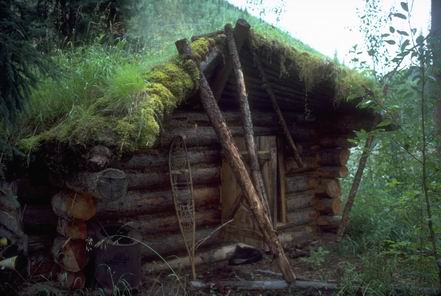 Abandoned trapper's cabin along the Charlie River.