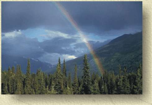 Rainbow after a summer shower in the Talkeetna Mountains.