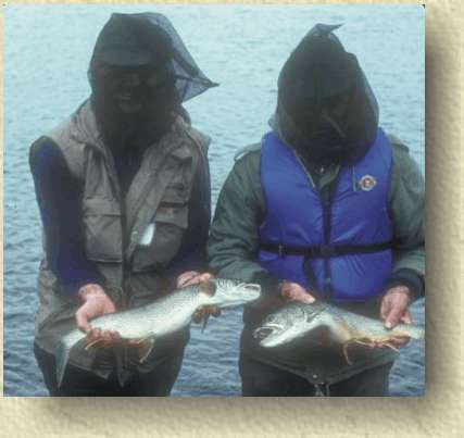 These lake trout fishers use head nets to avoid irritating insects.